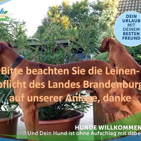 Familien-Suite-Im-Wald-Am-See Bork Eksteriør bilde